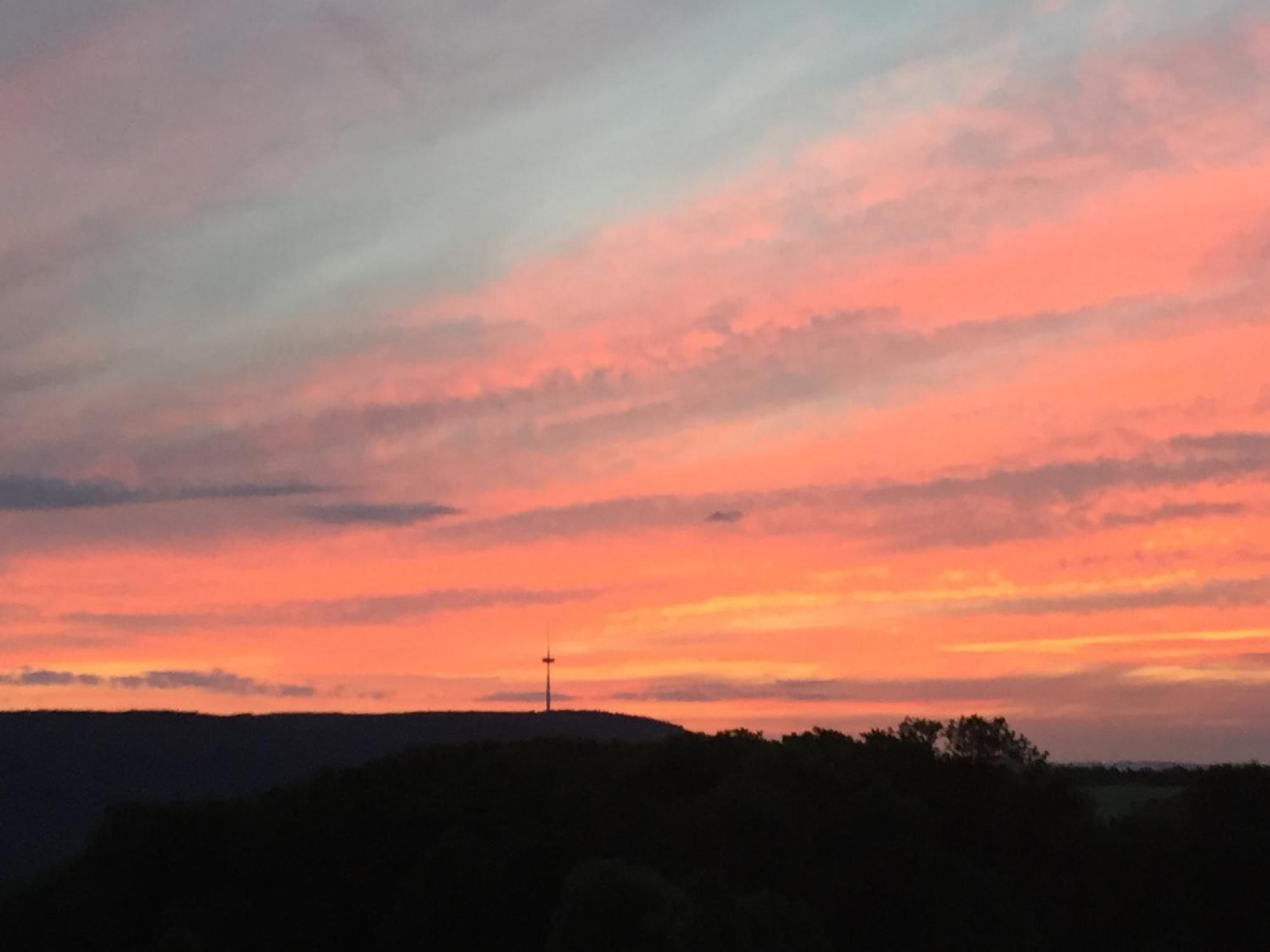 Ferienwohnung Auf Pferdehof Braubach Exteriör bild