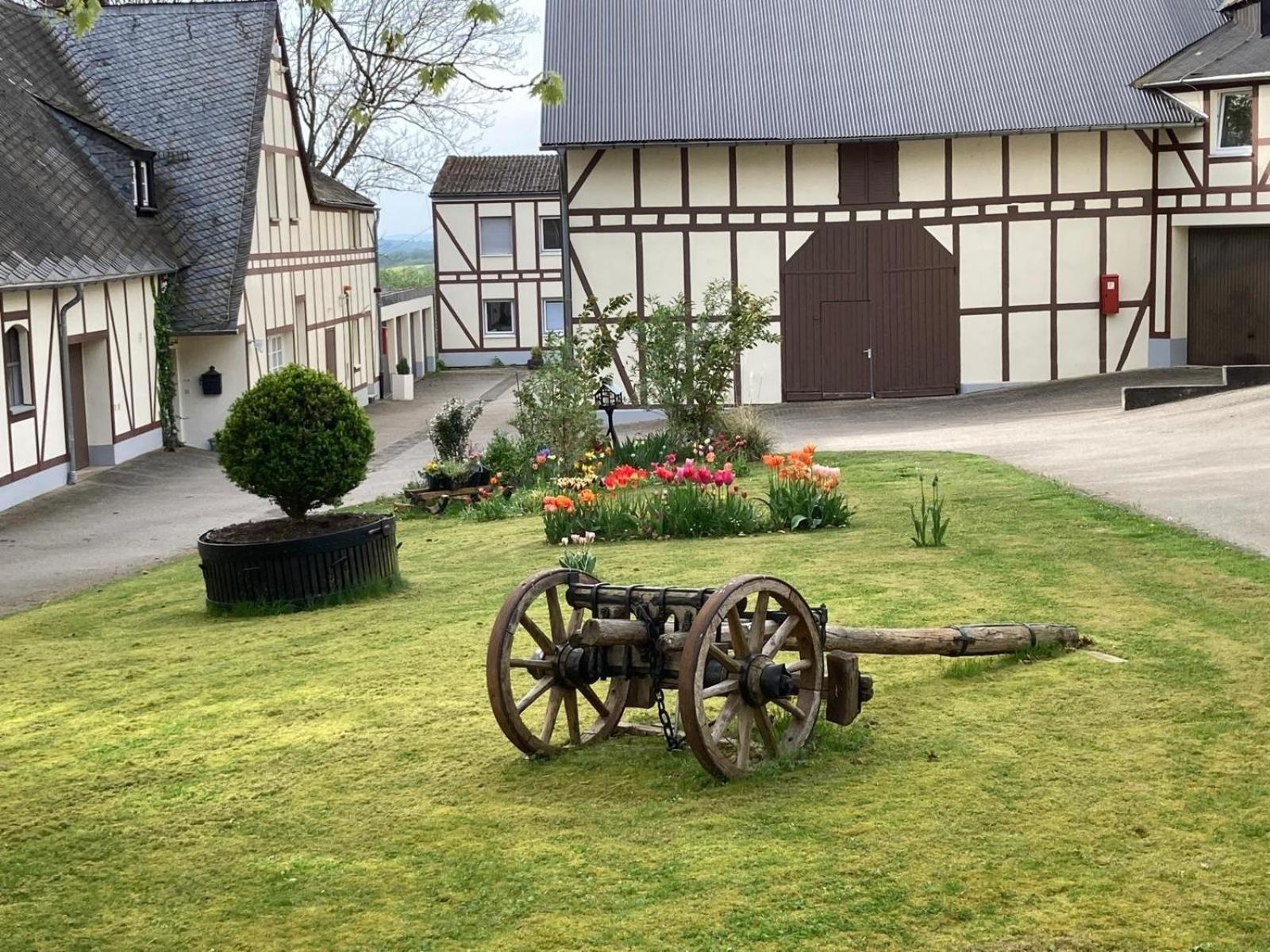 Ferienwohnung Auf Pferdehof Braubach Exteriör bild